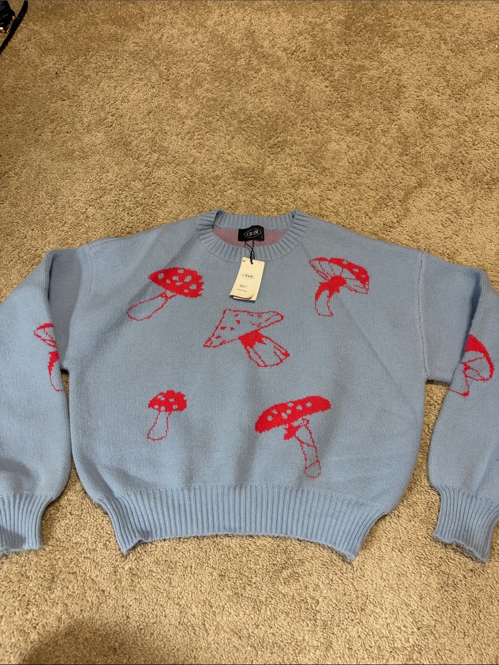Cider Blue Mushroom Sweater Large NWT